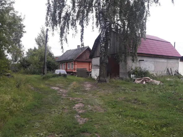 Черепово Сведения по ревизской сказке Пронино 1 Андрей Андреев 4653 Жена - фото 30