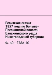 Наталья Козлова - Ревизская сказка 1857 года по Больше-Песошинской волости Балахнинского уезда Нижегородской губернии. Ф. 60—238А-10