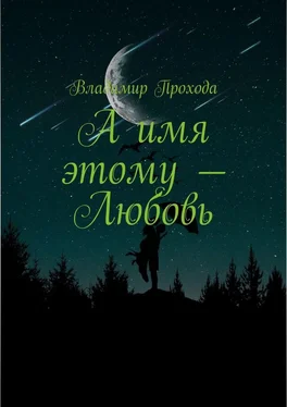 Владимир Прохода А имя этому – Любовь обложка книги