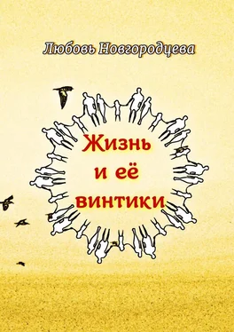 Любовь Новгородцева Жизнь и её винтики. Рассказы обложка книги