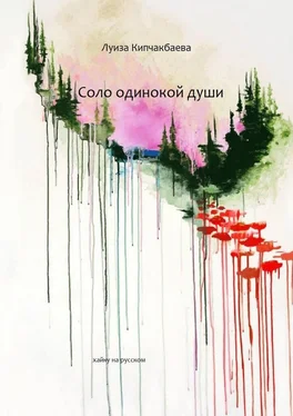 Луиза Кипчакбаева Соло одинокой души обложка книги