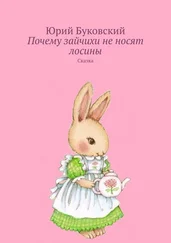 Юрий Буковский - Почему зайчихи не носят лосины. Сказка