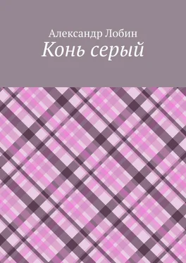 Александр Лобин Конь серый обложка книги