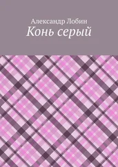 Александр Лобин - Конь серый