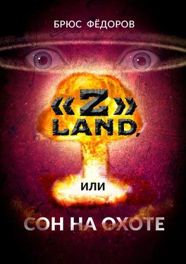 Брюс Фёдоров «Z» Land, или Сон на охоте обложка книги