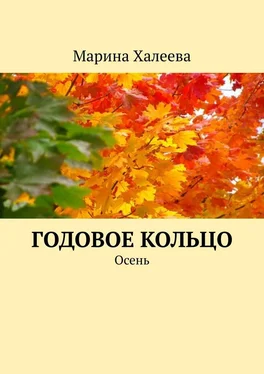 Марина Халеева Годовое кольцо. Осень обложка книги