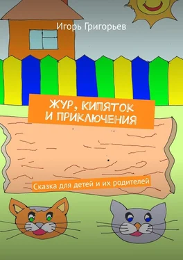Игорь Григорьев Жур, Кипяток и приключения. Сказка для детей и их родителей обложка книги