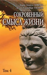 Хорхе Ливрага - Сокровенный смысл жизни. Том 4