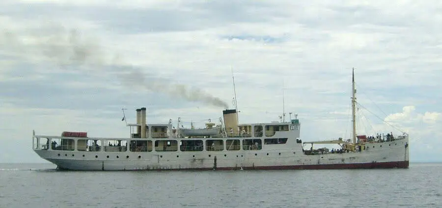 Liemba 2011 год Википедия Mimi и Fifi закончили свою службу в 20х - фото 13