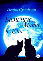 Игорь Судоргин - Базилиус, Маша и Луна