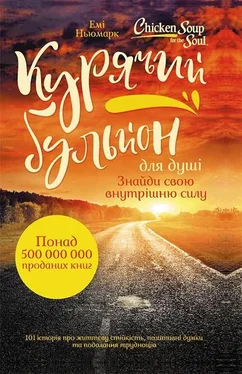 Емі Ньюмарк Курячий бульйон для душі обложка книги