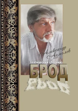 Александр Асмолов Брод (сборник) обложка книги