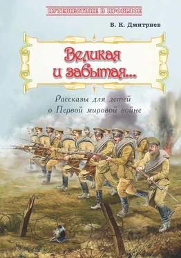 Владимир Дмитриев Великая и забытая. Рассказы для детей о Первой мировой войне обложка книги