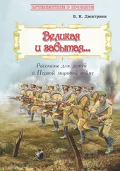 Владимир Дмитриев - Великая и забытая. Рассказы для детей о Первой мировой войне