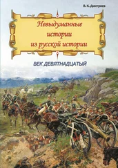 Владимир Дмитриев - Невыдуманные истории из русской истории. Век девятнадцатый