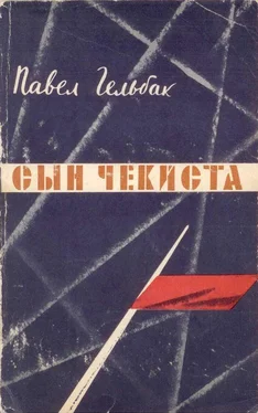 Павел Гельбак Сын чекиста обложка книги