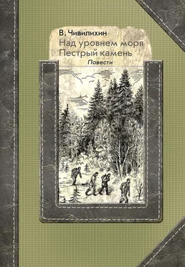 Владимир Чивилихин Над уровнем моря. Пестрый камень обложка книги