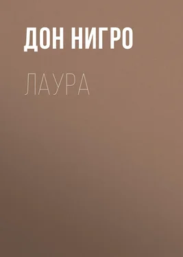 Дон Нигро Лаура обложка книги