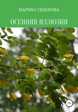 Марина Сидорова Осенняя иллюзия обложка книги
