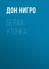 Дон Нигро - Белая уточка