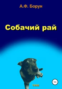 Александр Борун Собачий рай обложка книги