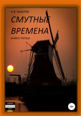 Николай Захаров Смутные времена. Книга 3 обложка книги