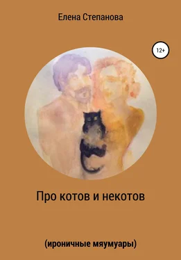 Елена Степанова Про котов и некотов обложка книги