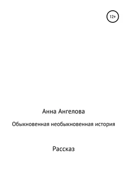 Анна Ангелова Обыкновенная необыкновенная история обложка книги