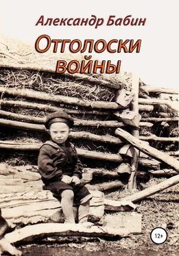 Александр Бабин Отголоски войны обложка книги