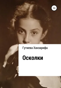 Ханзарифа Гутиева Осколки обложка книги