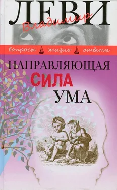 Владимир Леви Направляющая сила ума обложка книги