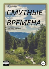Николай Захаров - Смутные времена. Книга 4