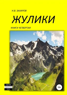 Николай Захаров Жулики. Книга 4 обложка книги