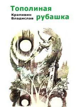 Владислав Крапивин Тополиная рубашка обложка книги