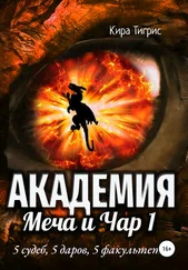 Кира Тигрис - Академия Меча и Чар 1