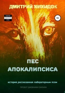 Дмитрий Хихидок Пес Апокалипсиса обложка книги