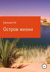 Евгений HS - Остров жизни