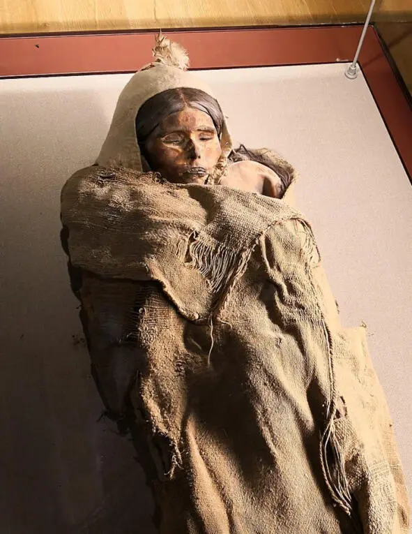 In China obviously people of Andronovo culture founded the state of - фото 44