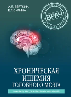 Елена Силина Хроническая ишемия головного мозга. Руководство для практических врачей обложка книги