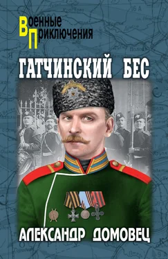 Александр Домовец Гатчинский бес обложка книги