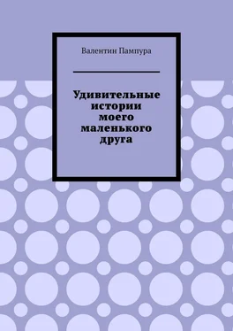 Валентин Пампура Удивительные истории моего маленького друга обложка книги