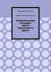 Валентин Пампура - Удивительные истории моего маленького друга