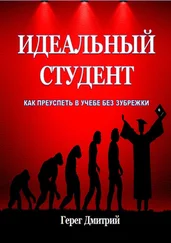 Дмитрий Герег - Идеальный студент. Как преуспеть в учебе без зубрежки