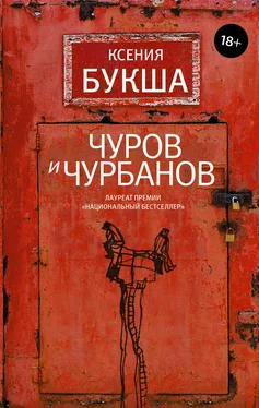 Ксения Букша Чуров и Чурбанов обложка книги