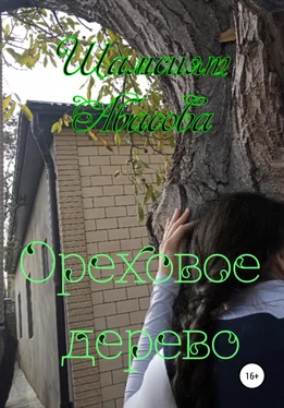 Шамсият Абасова Ореховое дерево обложка книги