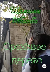 Шамсият Абасова - Ореховое дерево