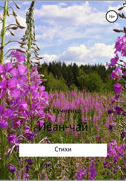 Надежда Кучменко Иван-чай. Сборник стихотворений обложка книги