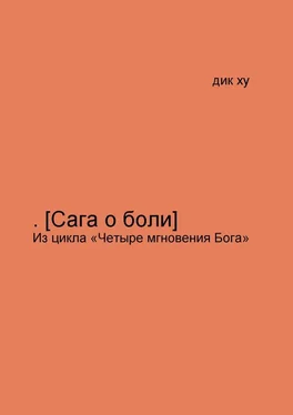 Дик Ху .[Сага о боли]. Из цикла «Четыре мгновения Бога» обложка книги