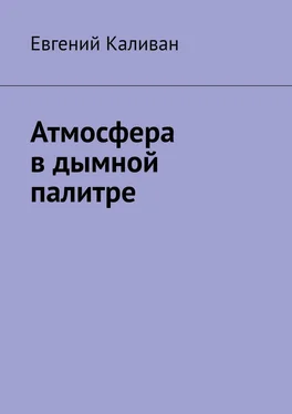 Евгений Каливан Атмосфера в дымной палитре обложка книги