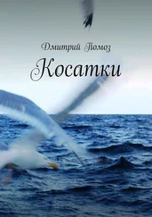 Дмитрий Помоз - Косатки